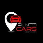 Punto Cars